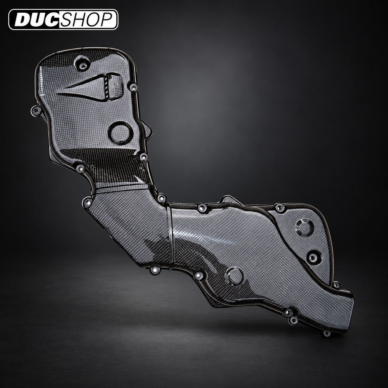 AviaCompositi Carbon Fiber Belt Covers w/ intake for Ducati 999 / 998 / 996R / 749 and Monster S4RS / S4RT for Ducati motorcycles - DucShop