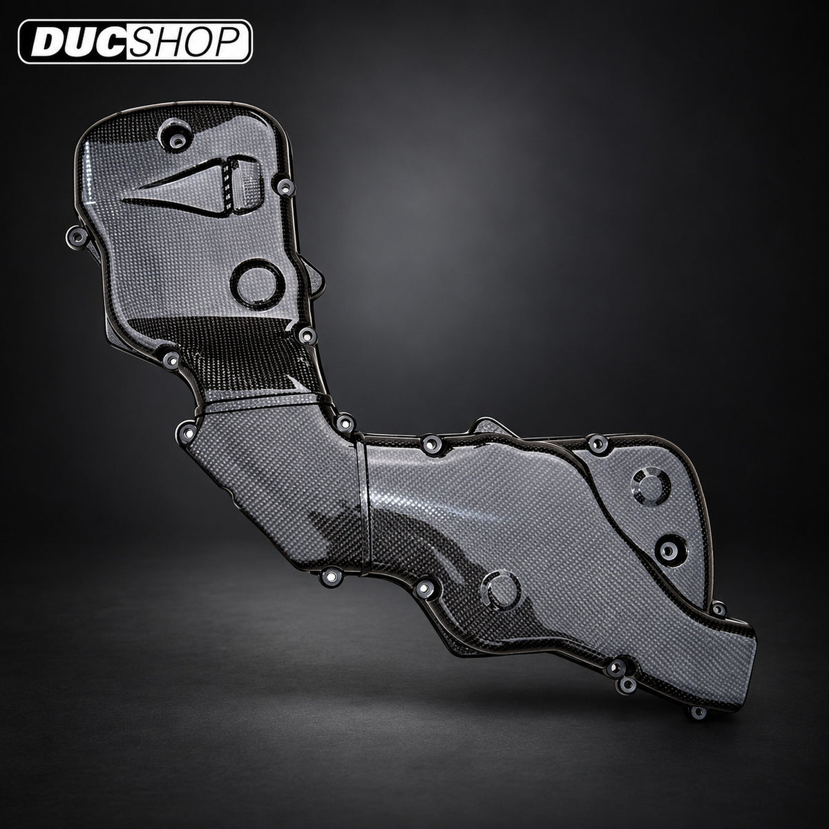 AviaCompositi Carbon Fiber Belt Covers w/ intake for Ducati 999 / 998 / 996R / 749 and Monster S4RS / S4RT for Ducati motorcycles - DucShop