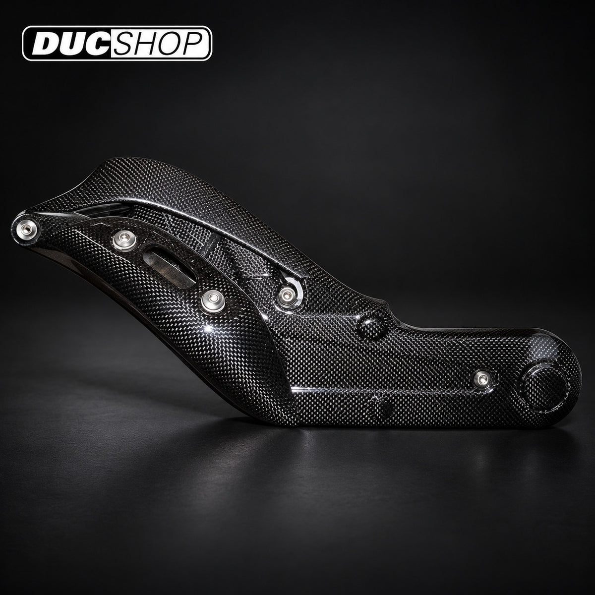 CARBONVANI - DUCATI MONSTER 696 / 796 CARBON FIBER COMPLETE TIMING BELT COVER KIT for Ducati motorcycles - DucShop