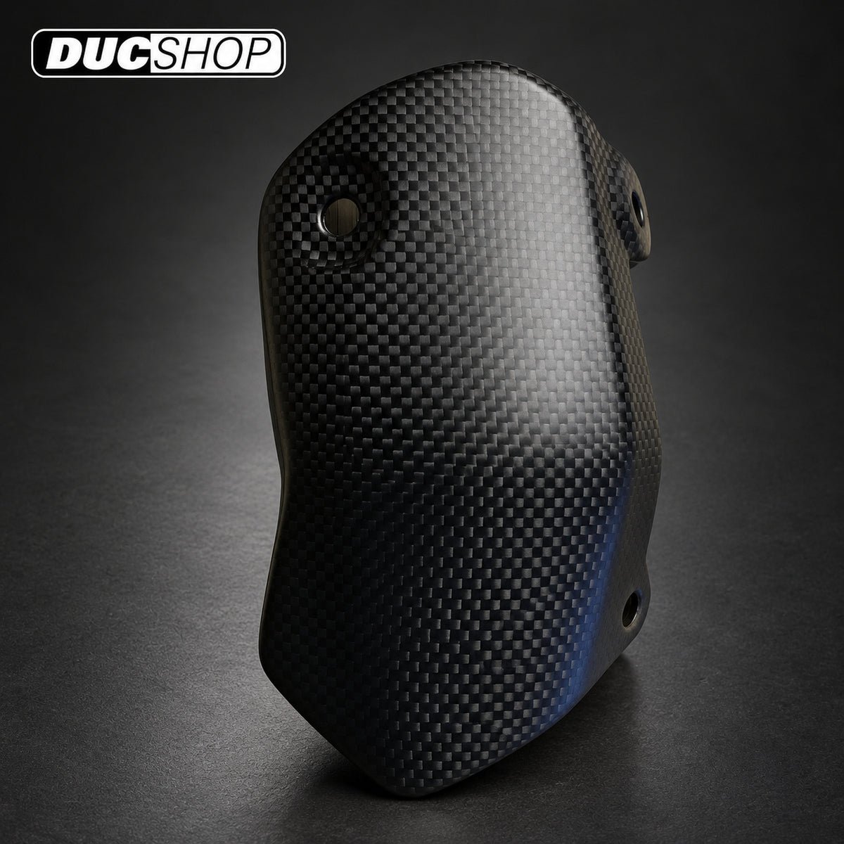 Carbonvani Exhaust Collector Guard — Monster 821 / 1200 — representative product view; see selected configuration and listing contents | Exhaust Accessories | ducshop.com