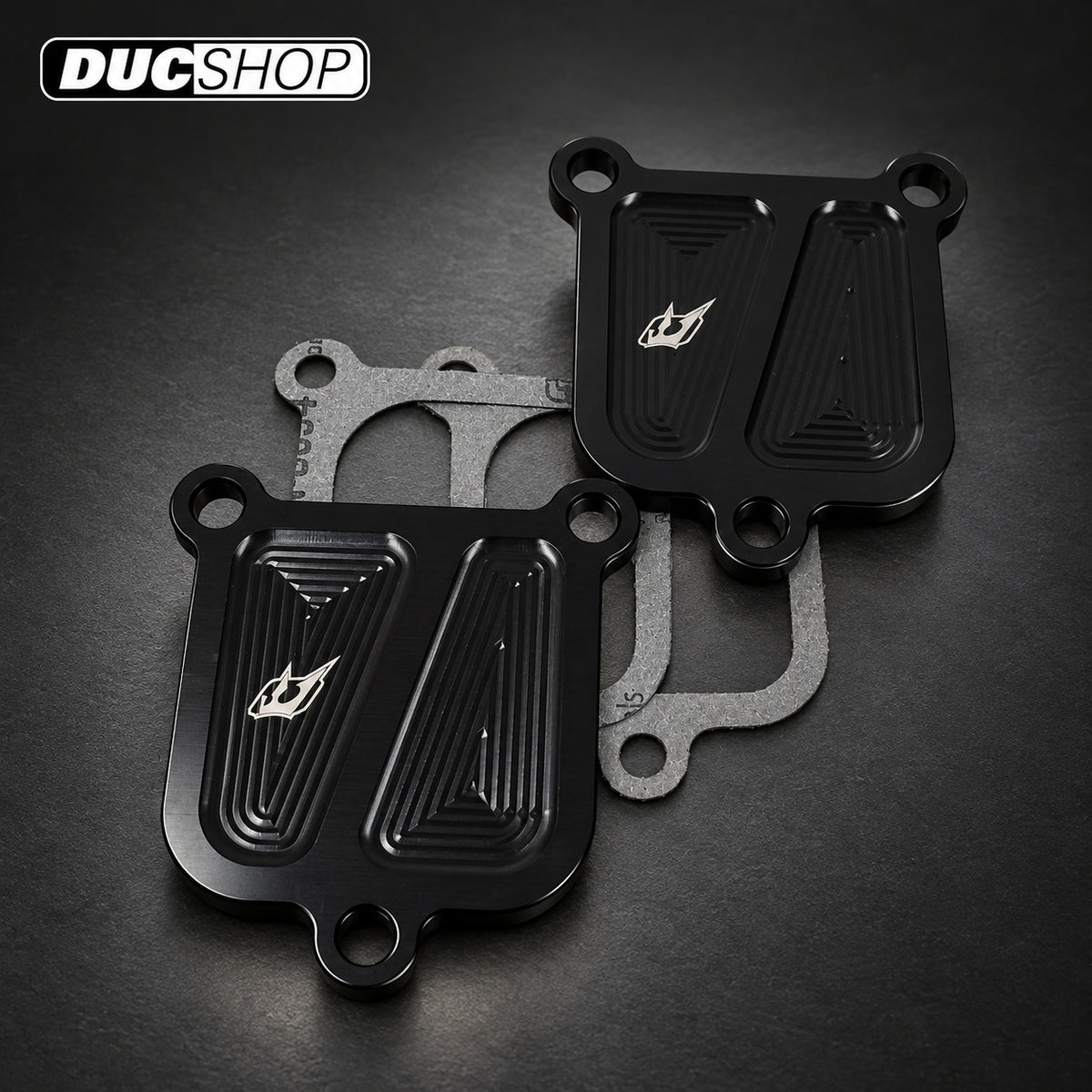 Driven Racing DSBLOCK-26 kit showing two black plates with gaskets | Emissions Removal | ducshop.com