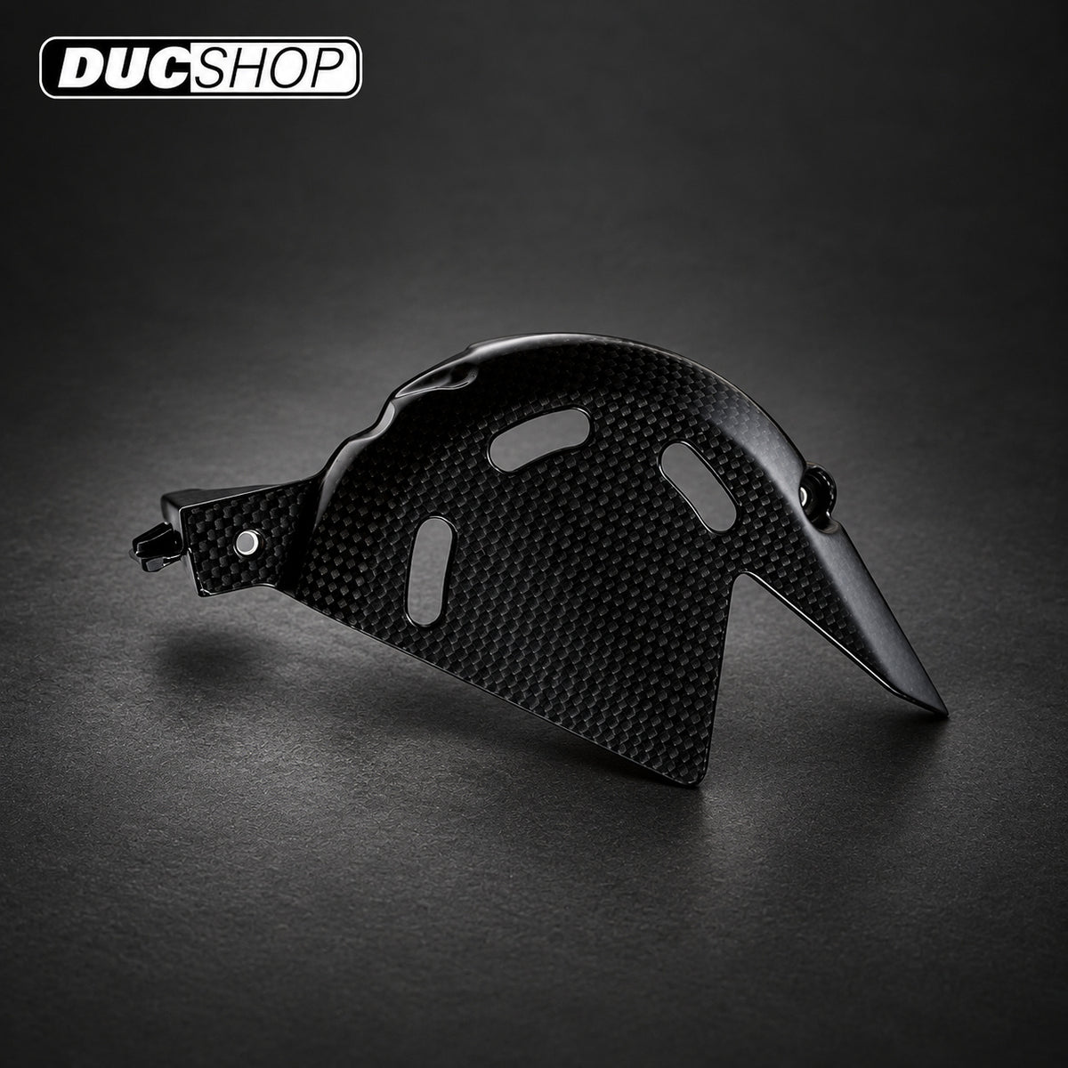 Carbonvani - Ducati Panigale / Streetfighter V4 / S / R / Speciale Carbon Fiber Front Sprocket Cover (18-24) — representative product design; finishes may vary | ducshop.com