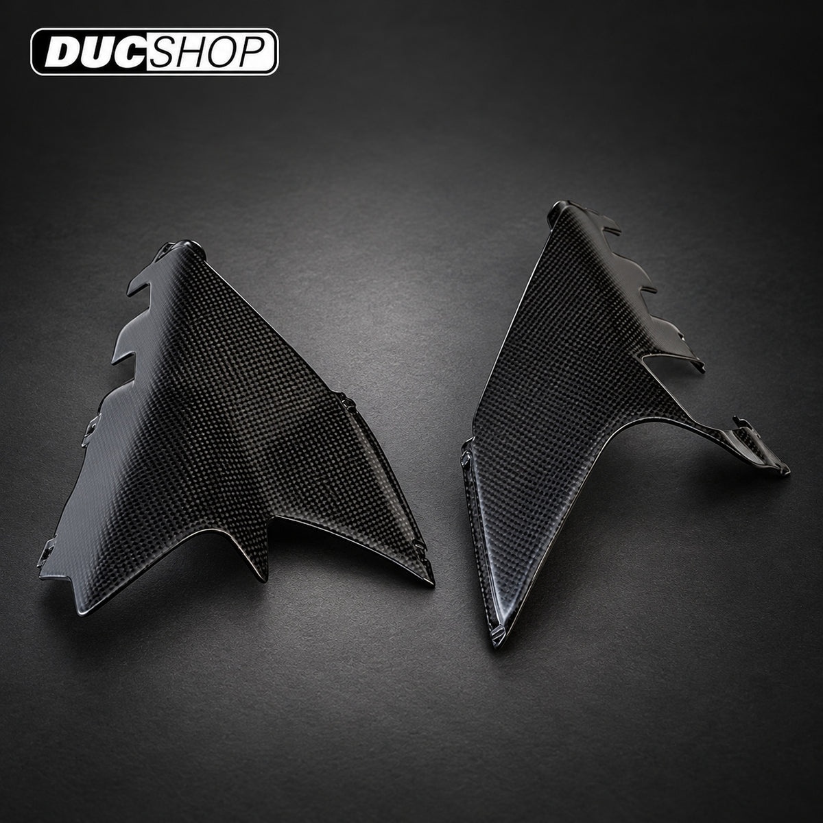 Carbonvani Exhaust Delete Inserts — Ducati V4 2025+ — representative product view; see selected configuration and listing contents | Exhaust Accessories | ducshop.com