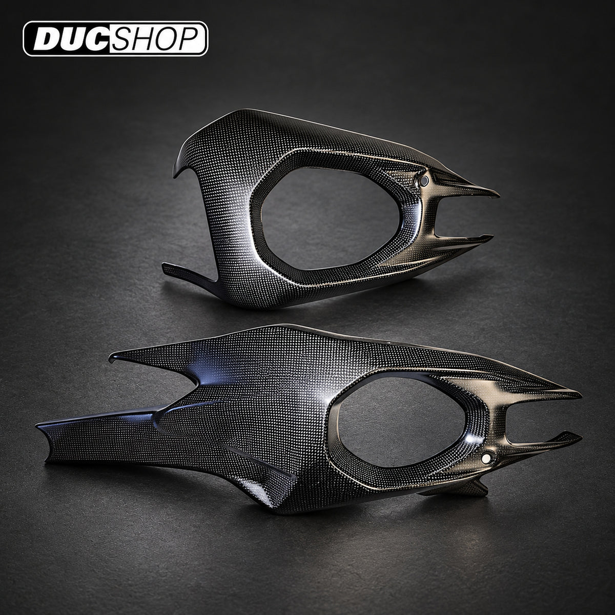 Carbonvani Carbon Fiber 2 Piece Swing Arm Cover / Guard Kit for Ducati Panigale / Streetfighter V4 (2025+) | Miscellaneous Crash Protection | ducshop.com