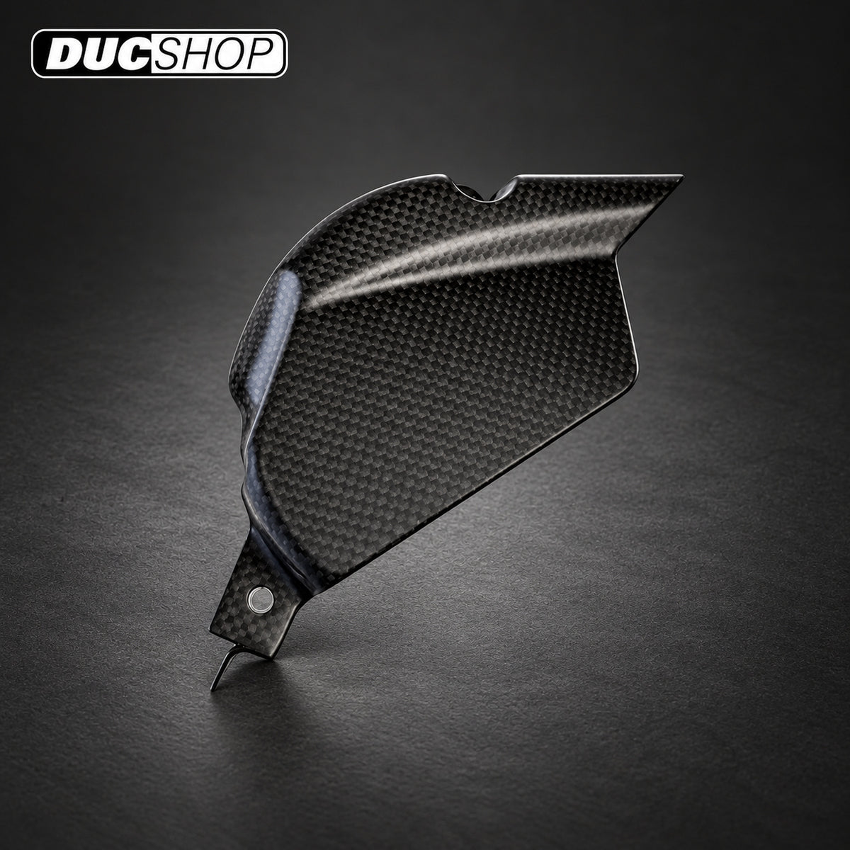 Carbonvani Carbon Fiber Front Sprocket Cover for Ducati Panigale V4 (2025+) — representative product design; finishes may vary | ducshop.com