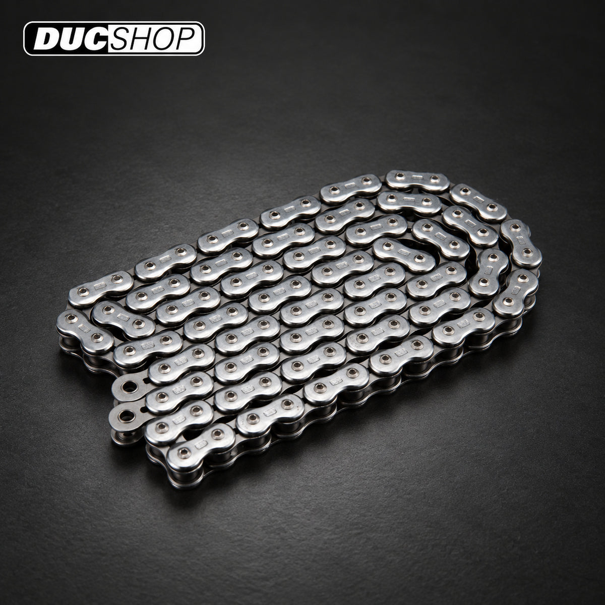 Silver EK 3D chain shown as a representative design image for chain and replacement-link selections | Chains | ducshop.com