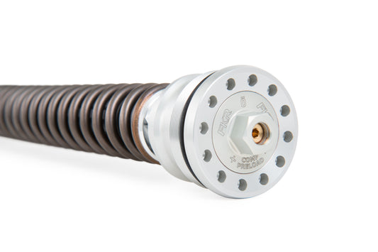ÖHLINS FKR 124 DUCATI PANIGALE V4 R (FL 954) FKR 100 - SKU: FKR 124