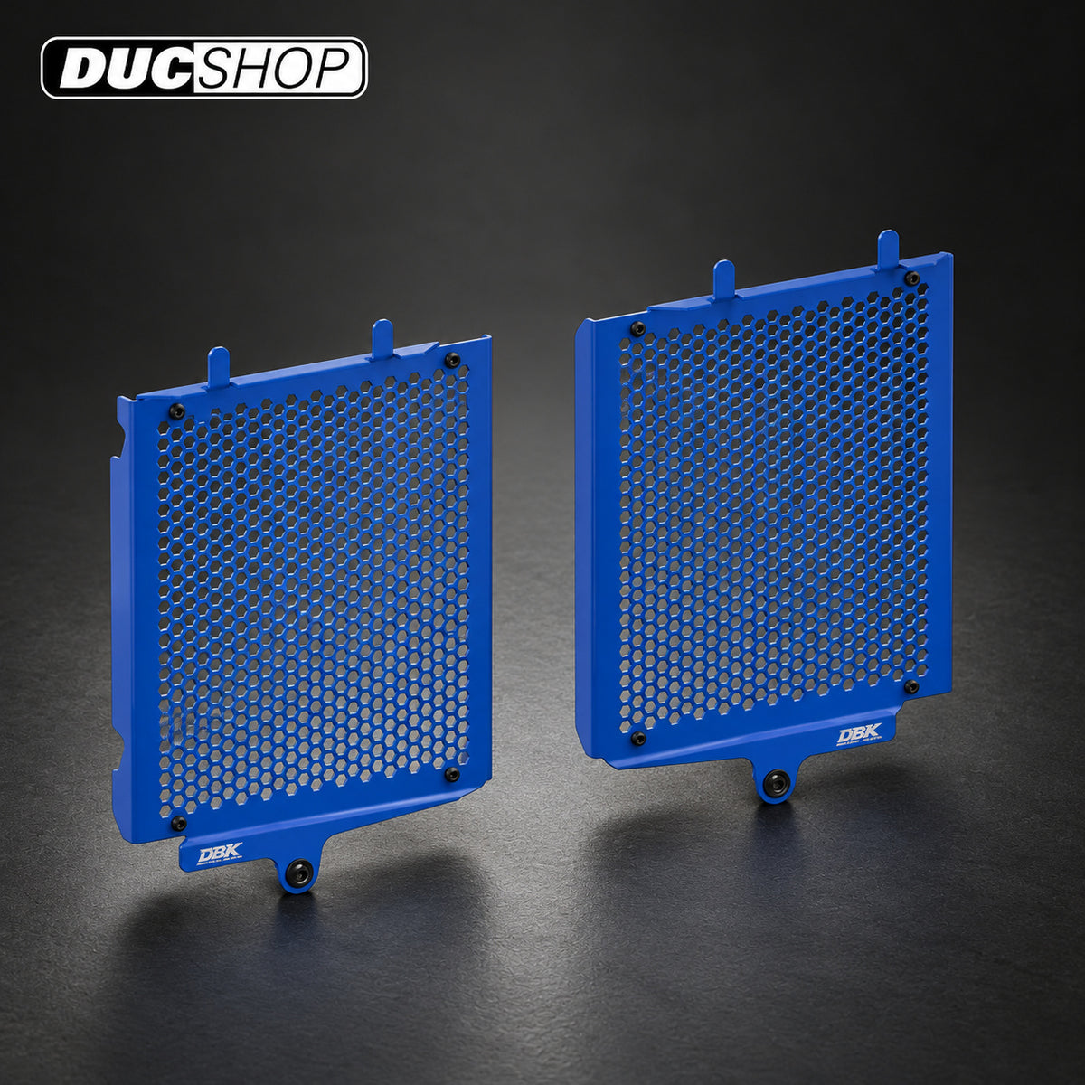 DBK Special Parts (Ducabike) Aluminum Radiator Guard for the BMW R 1300 GS | Radiator & Oil Cooler Guards | ducshop.com