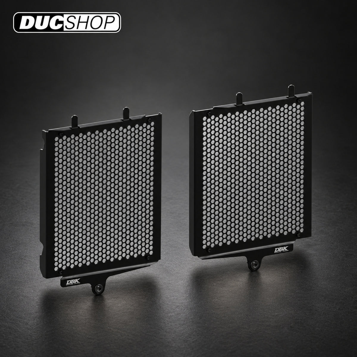 DBK Special Parts (Ducabike) Aluminum Radiator Guard for the BMW R 1300 GS | Radiator & Oil Cooler Guards | ducshop.com