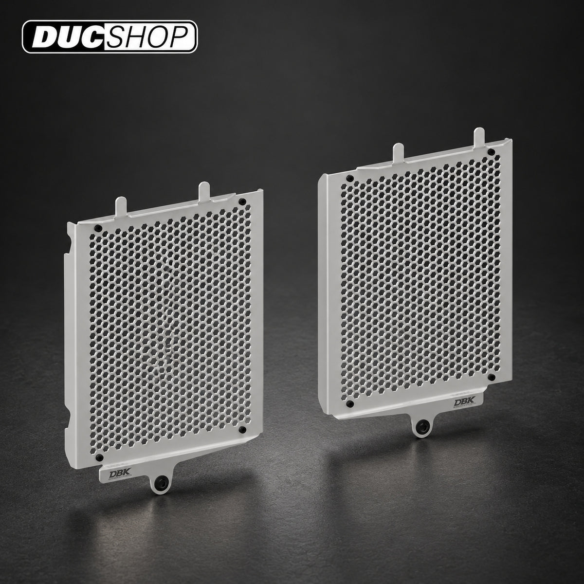 DBK Special Parts (Ducabike) Aluminum Radiator Guard for the BMW R 1300 GS | Radiator & Oil Cooler Guards | ducshop.com