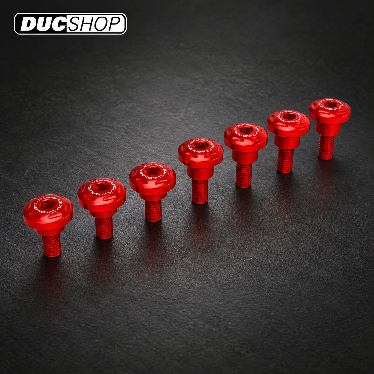 DBK Special Parts (Ducabike) Frame/Fairing Screw Kit for the Ducati DesertX — representative product view; see selected option and kit contents | Motorcycle Specific Fasteners | ducshop.com