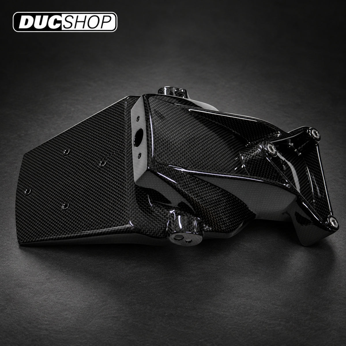 Carbonvani Carbon Plate Holder for MV Agusta Brutale (2006–2009) — representative product view; check selected option and kit contents | ducshop.com