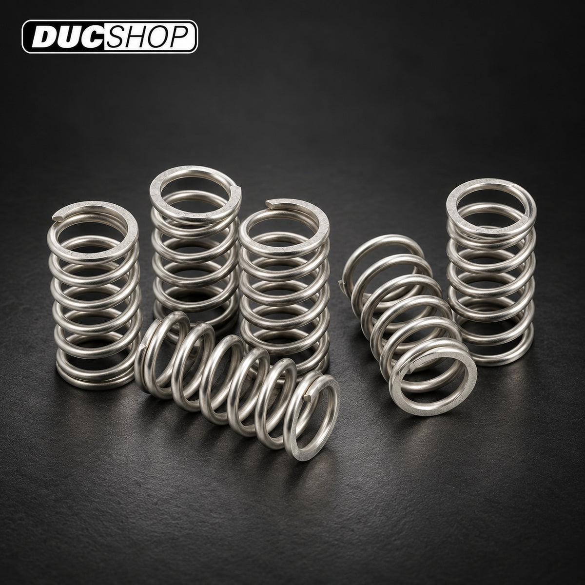 EVR Dry Clutch Stainless Steel Spring Set | Dry Clutch Hardware & Kits | ducshop.com