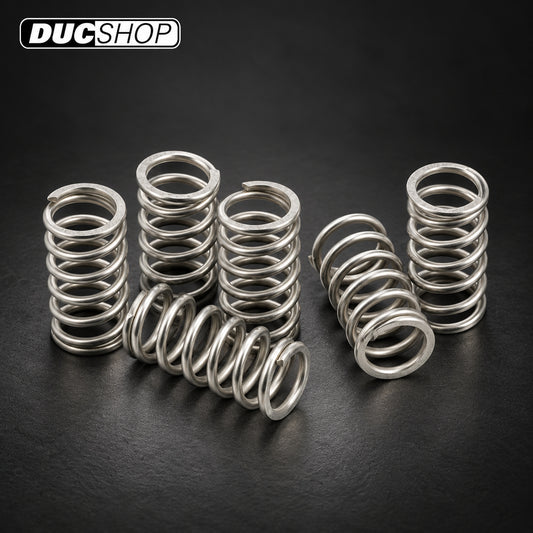 EVR Dry Clutch Stainless Steel Spring Set | Dry Clutch Hardware & Kits | ducshop.com