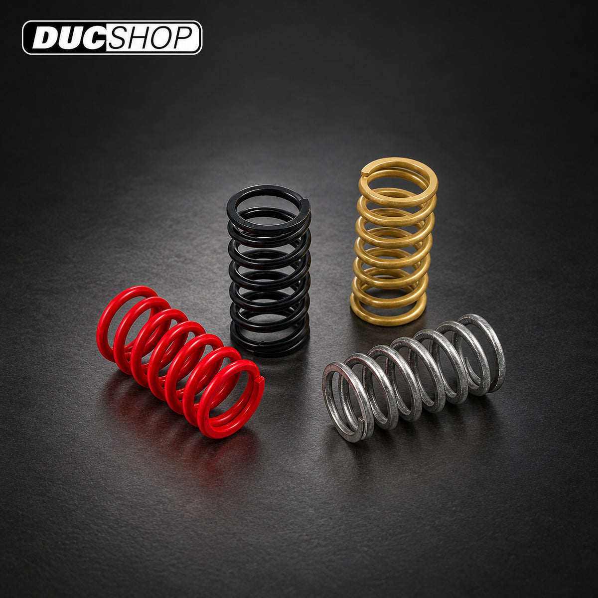 CNC Racing Dry Clutch Colored Stainless Steel Spring Set | Dry Clutch Hardware & Kits | ducshop.com
