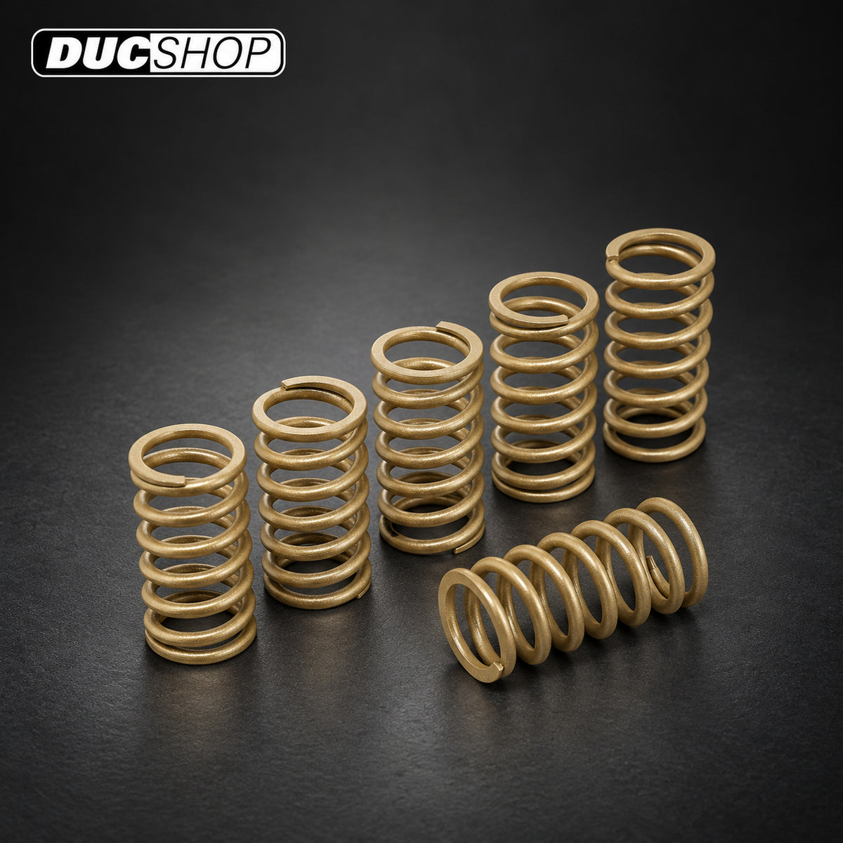CNC Racing Stainless Clutch Springs For MV Agusta - 40.5 mm height (all from 2006+) | Wet Clutch Hardware | ducshop.com