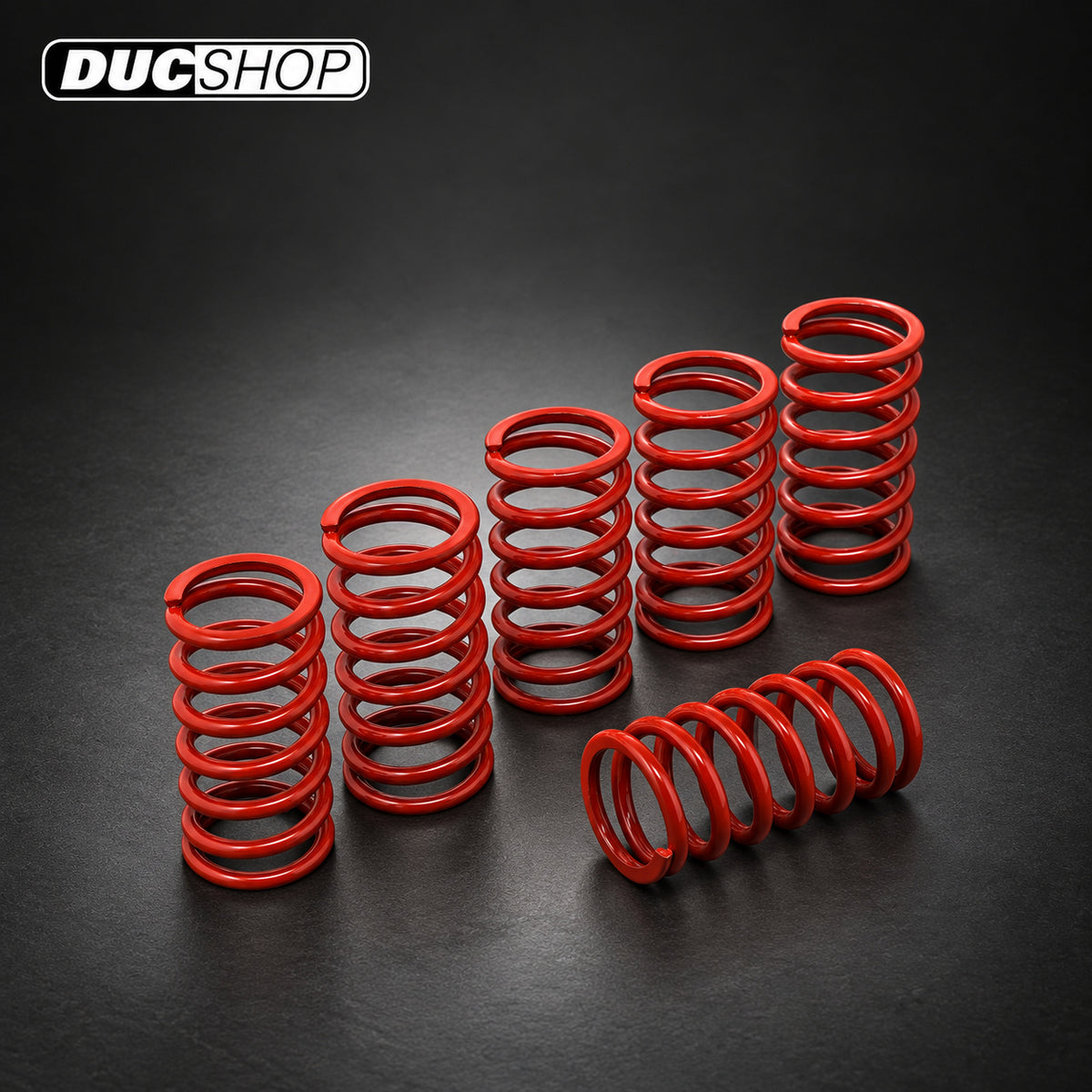 CNC Racing Stainless Clutch Springs For MV Agusta - 40.5 mm height (all from 2006+) | Wet Clutch Hardware | ducshop.com