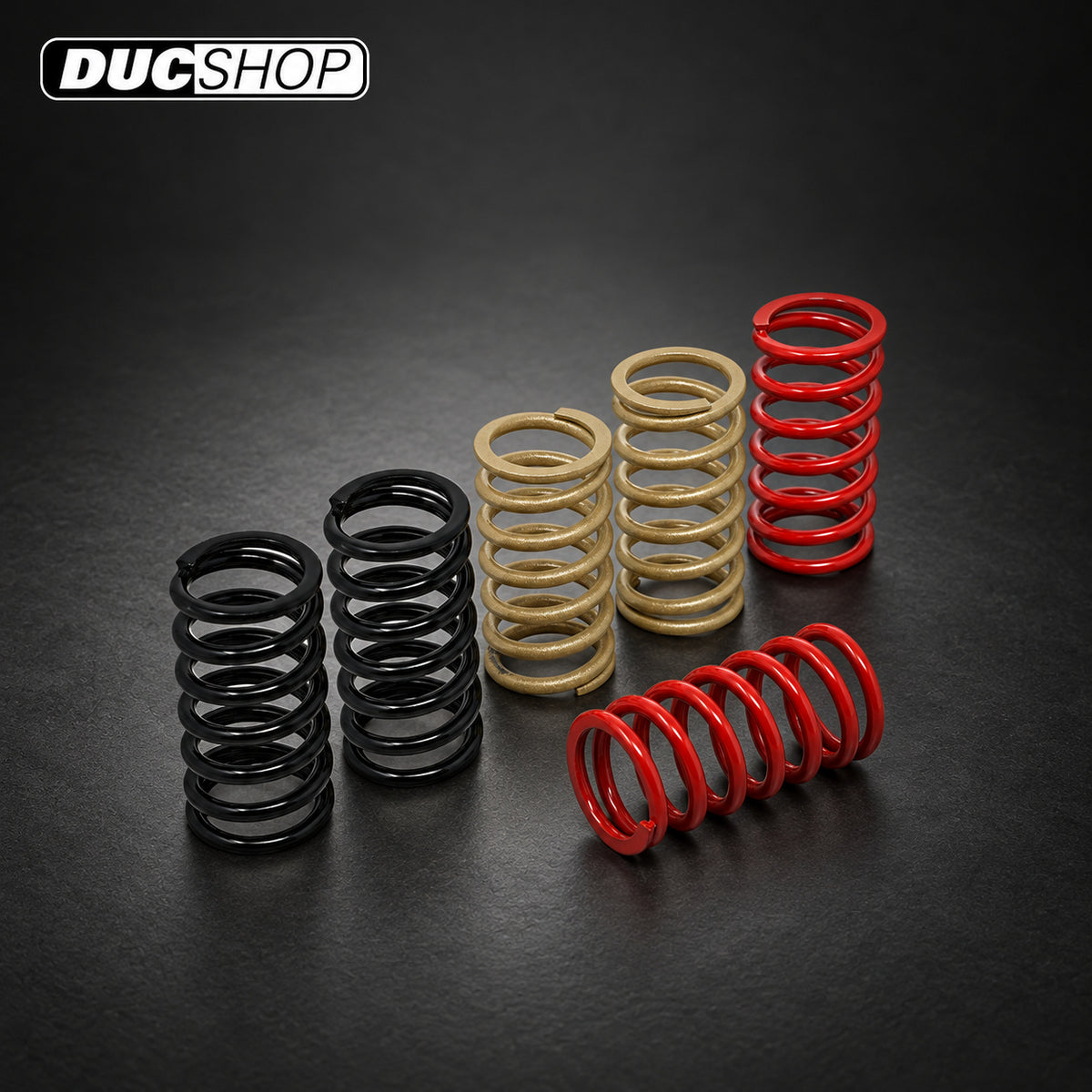 CNC Racing Stainless Clutch Springs For BMW - 45 mm height | Wet Clutch Hardware | ducshop.com