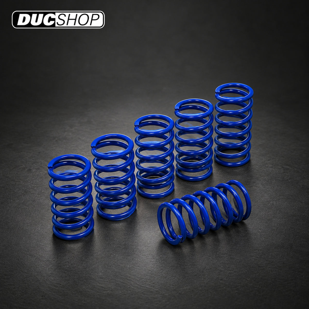 CNC Racing Stainless Clutch Springs For BMW - 45 mm height | Wet Clutch Hardware | ducshop.com