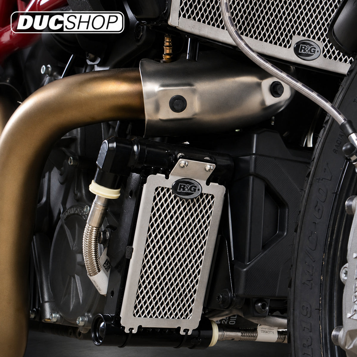 R&G Racing Oil Cooler Guard for Indian FTR1200 (S) '19-'22 | Radiator & Oil Cooler Guards | ducshop.com