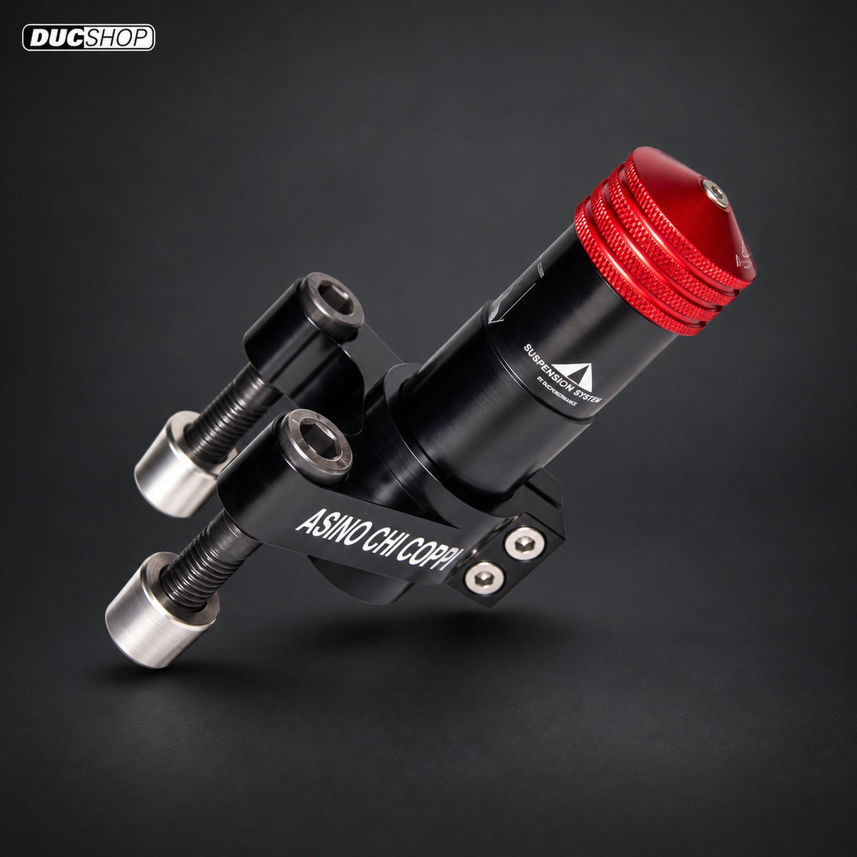 OverSuspension for the Ducati Multistrada V4 Pikes Peak | SKU OVS-STB/DucPP | DucShop