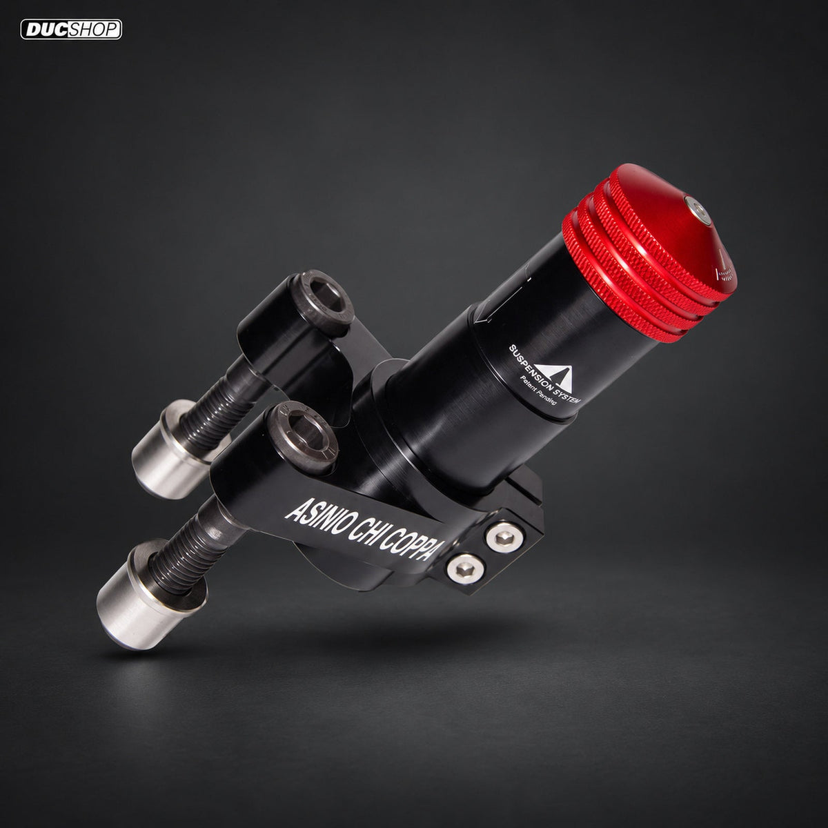 OverSuspension for the Ducati Panigale 1299 / 1199 / V2 | SKU OVS-STB/DucV2/a | DucShop