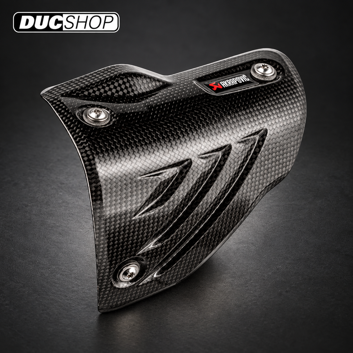 Akrapovic Carbon-Fiber Heat Shield — BMW S1000RR / R — representative product view; see selected configuration and listing contents | Exhaust Accessories | ducshop.com