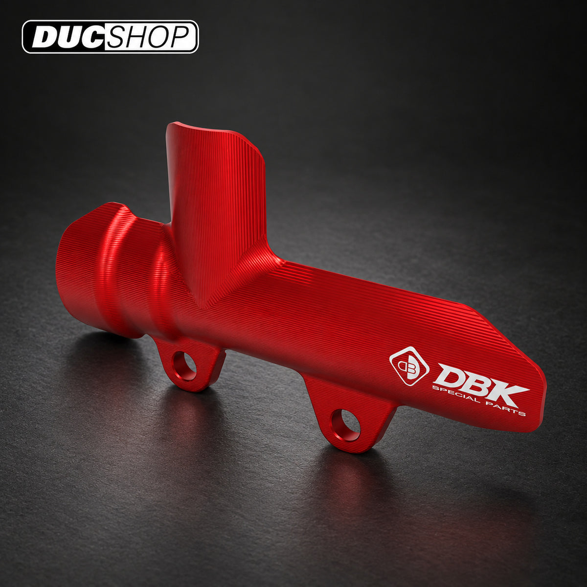 DBK Special Parts (Ducabike) Rear Brake Master Protector for Ducati / Moto Guzzi Models | Miscellaneous Crash Protection | ducshop.com
