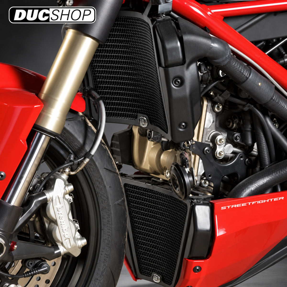 R&G Racing Radiator Guard for the Ducati Streetfighter 848 '08-'19 | Radiator & Oil Cooler Guards | ducshop.com