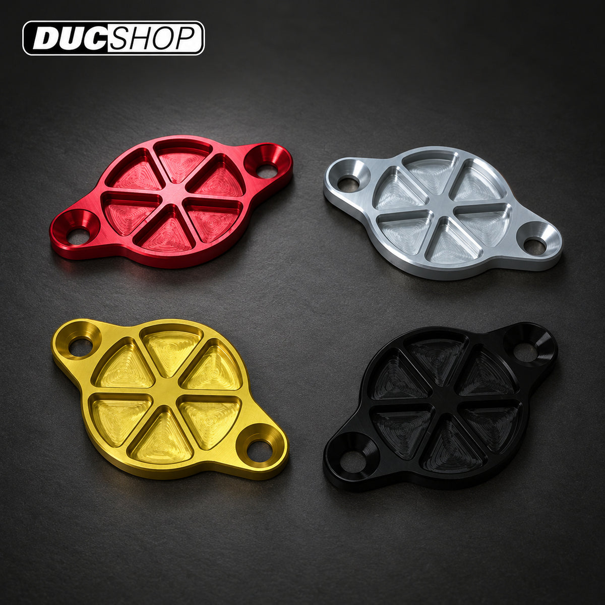TPO VECTOR Timing Inspection Cover — S-1065 — representative product view; selected finish may vary | Engine Accessories | ducshop.com
