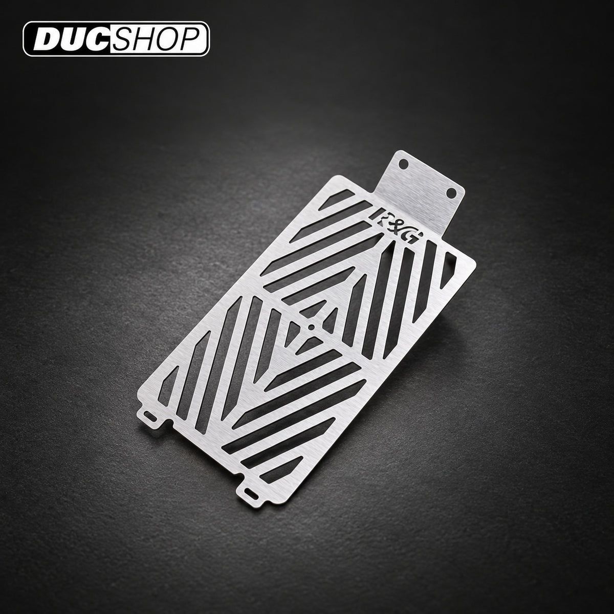 R&G Racing Stainless Steel Oil Cooler Guard for Indian FTR1200 (S) '19-'22 | Radiator & Oil Cooler Guards | ducshop.com