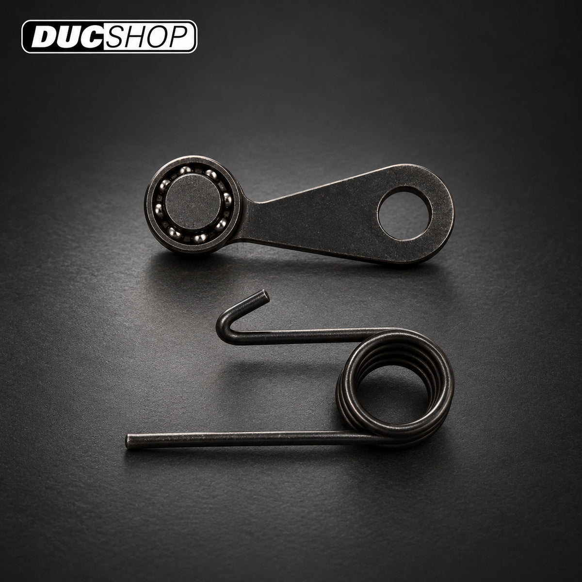 Factory Pro PRO Shift Kit — Buell / EBR 1190 — detent arm and spring | Factory Pro Shift Kits | ducshop.com