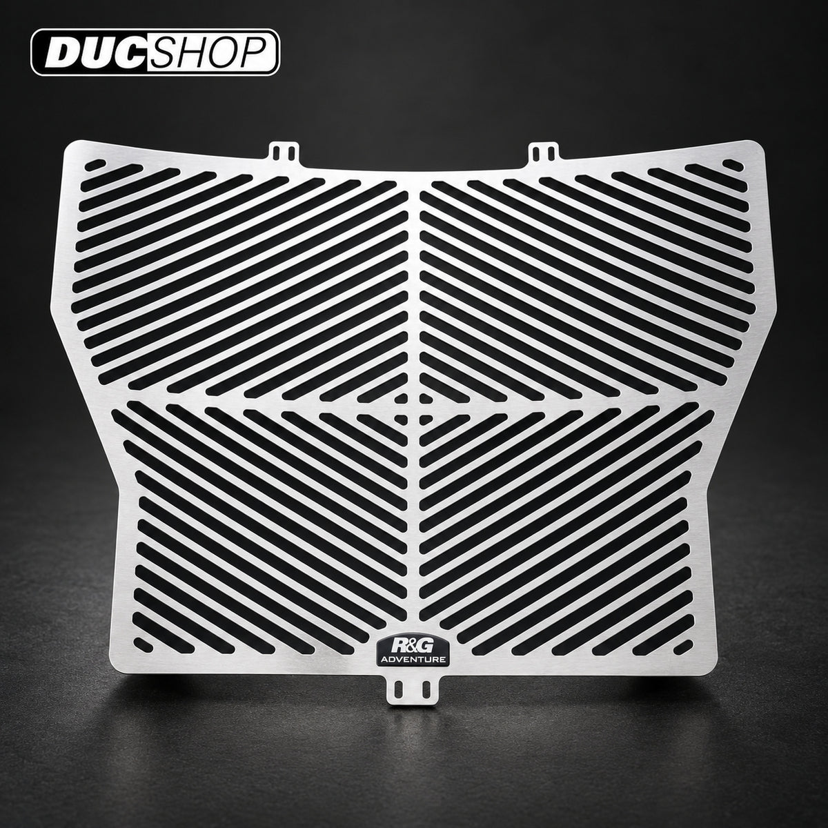 R&G Racing Stainless Steel Radiator Guard (see SCG0003SS for stainless oil cooler guard) for BMW S1000R '14-'16 | Radiator & Oil Cooler Guards | ducshop.com
