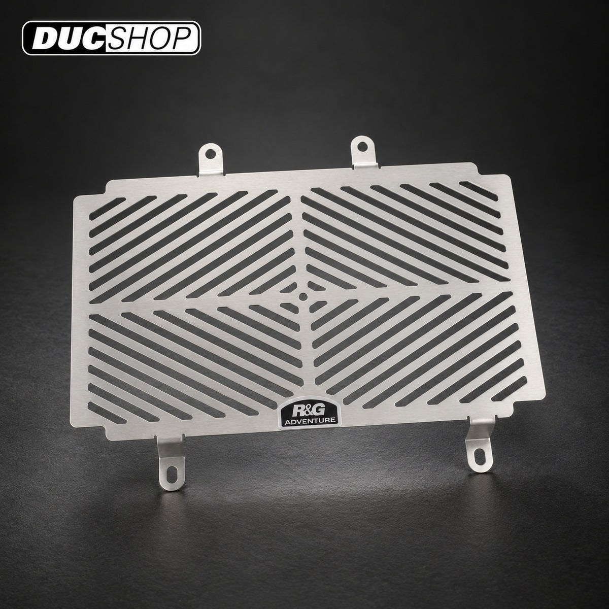 R&G Racing Stainless Steel Radiator Guard for Husqvarna Vitpilen / Svartpilen 401 '17-'22 | Radiator & Oil Cooler Guards | ducshop.com